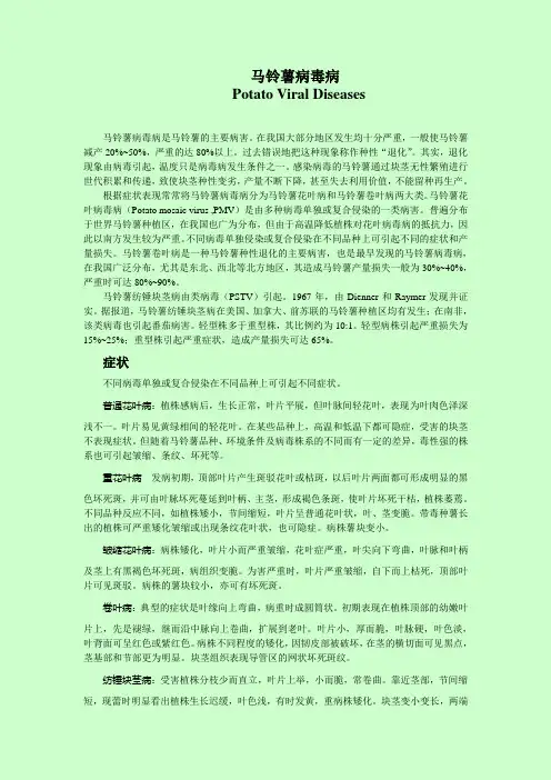 马铃薯病毒病