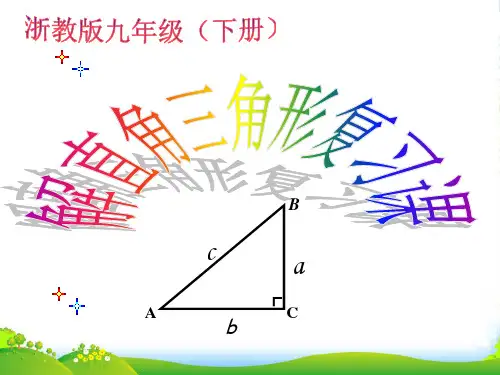 浙教版九年级数学下册解直角三角形复习课件