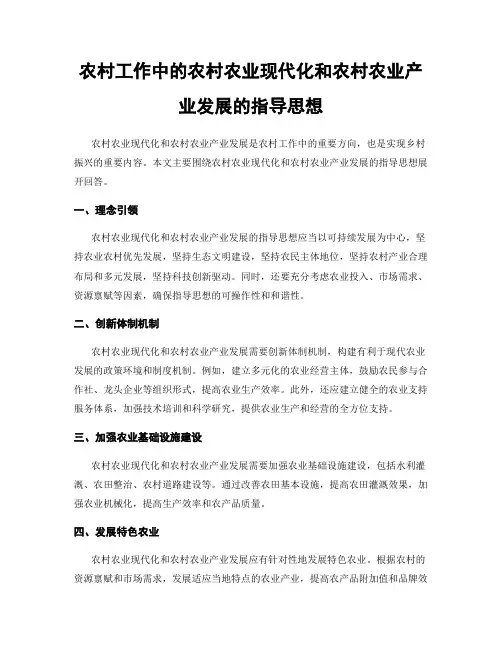 农村工作中的农村农业现代化和农村农业产业发展的指导思想
