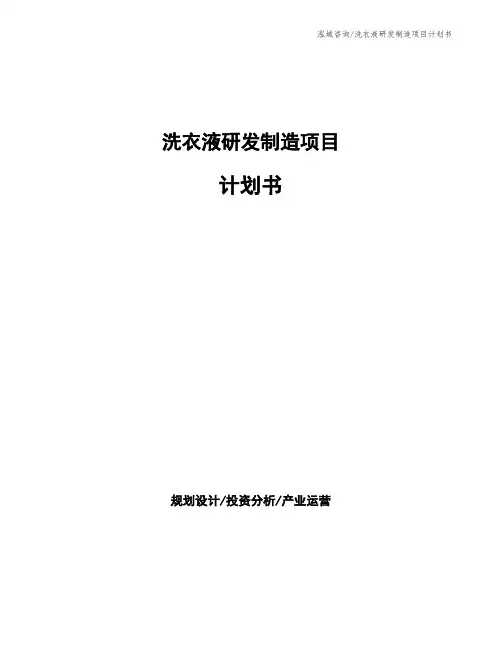 洗衣液研发制造项目计划书