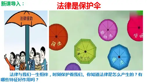 法律保障生活  部编版道德与法治七年级下册 (1)