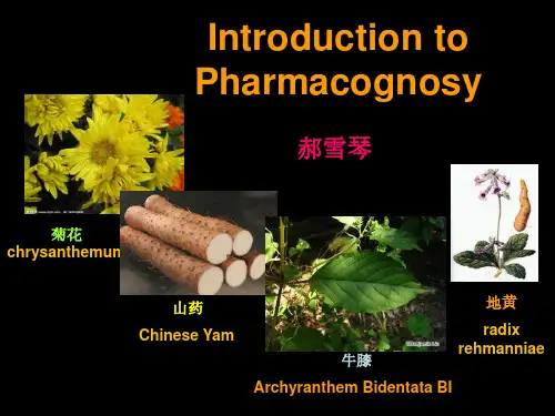 生药学PPT