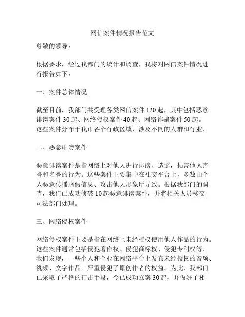网信案件情况报告范文
