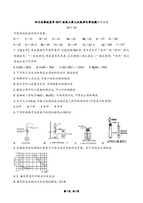 四川省攀枝花市2017届高三统考化学试题