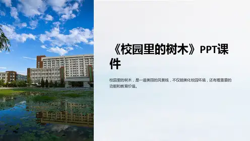 《校园里的树木》课件