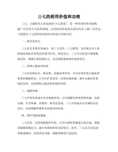 三七的药用价值和功效