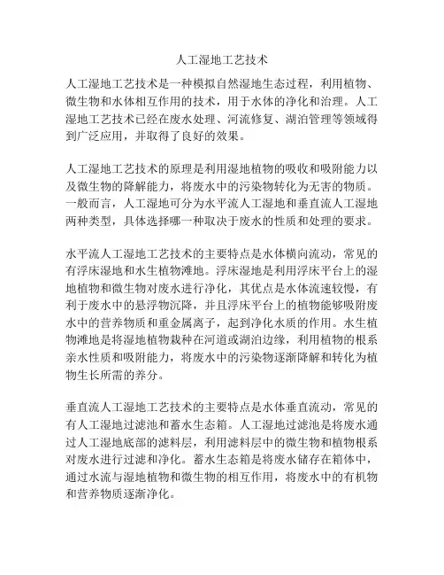 人工湿地工艺技术