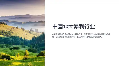 《中国10大暴利行业》课件