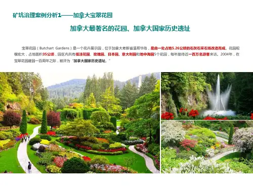矿坑治理案例分析