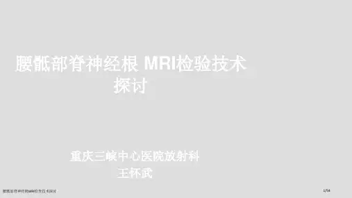 腰骶部脊神经根MRI检查技术探讨