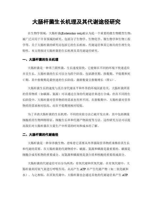 大肠杆菌生长机理及其代谢途径研究
