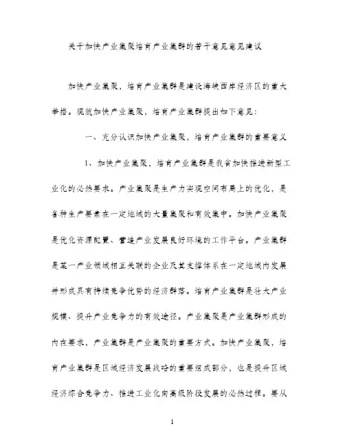 关于加快产业集聚培育产业集群的若干意见意见建议