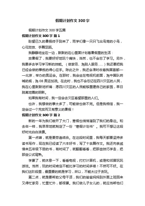 假期计划作文300字五篇