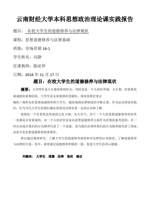 思想政治理论课社会实践报告