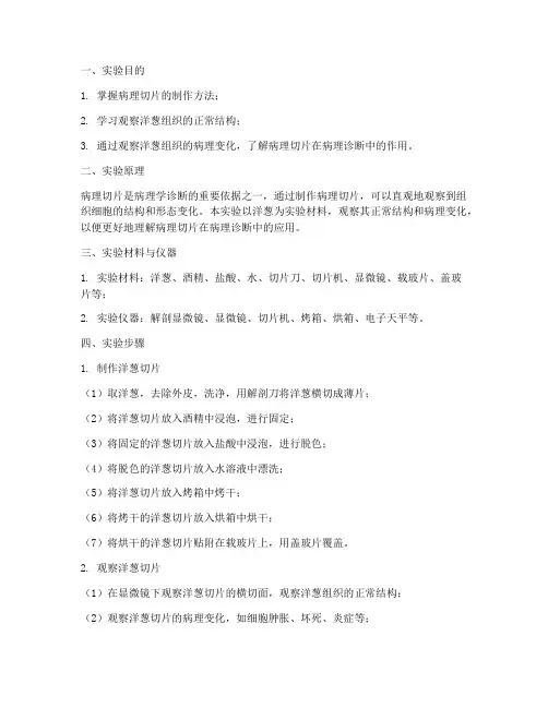 病理切片观察实训报告洋葱