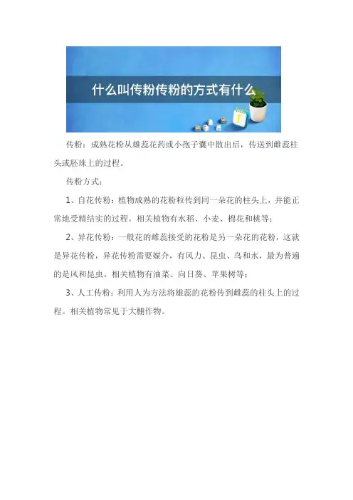 传粉名词解释