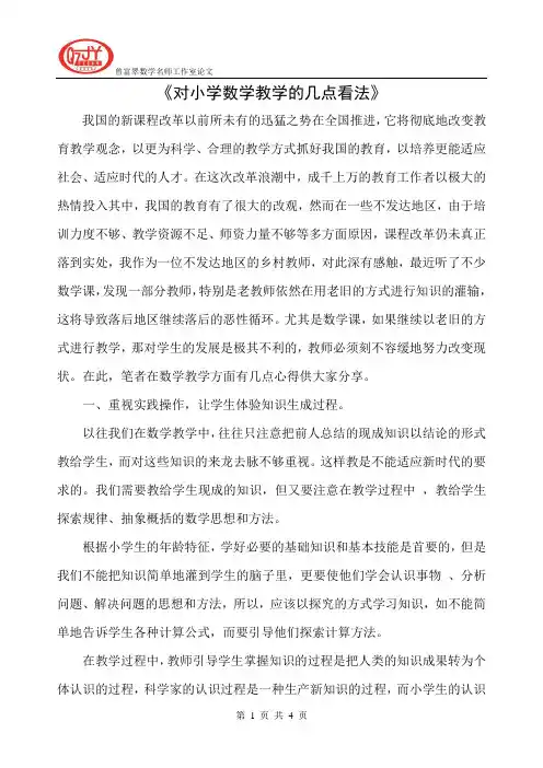 《对小学数学教学的几点看法》