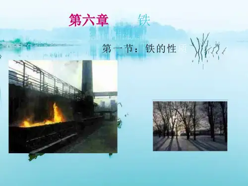 铁的性质课件