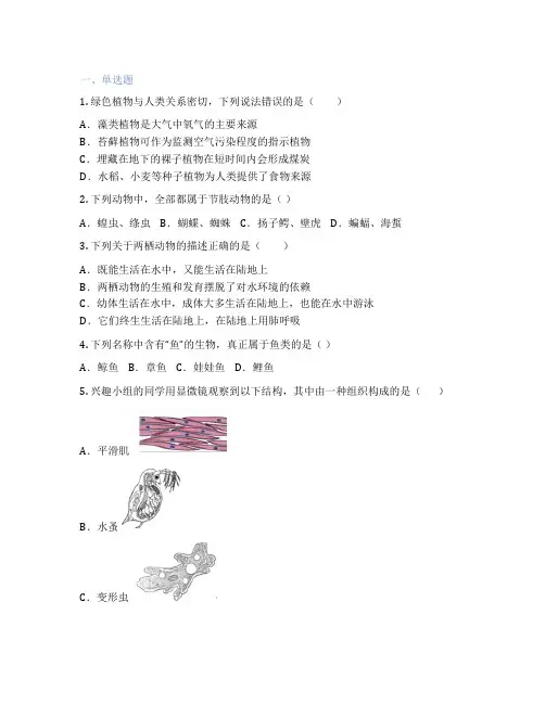 北师大版生物 八年级下册 第2节 原生生物的主要类群 课后练习题