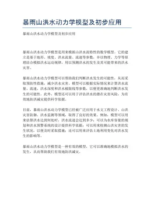 暴雨山洪水动力学模型及初步应用