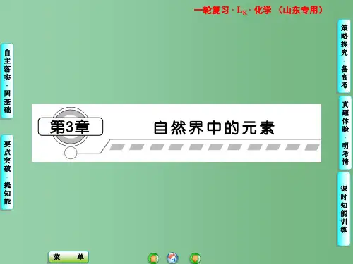 高考化学一轮复习 第3章第1节 碳的多样性课件