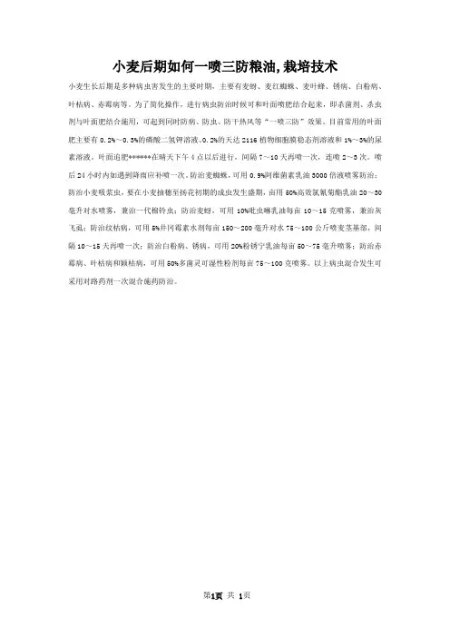 小麦后期如何一喷三防粮油,栽培技术