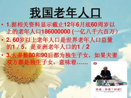 养老保险 讲解 讲课 PPT