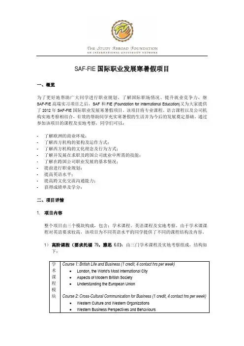 SAF-FIE 国际职业发展寒暑假项目