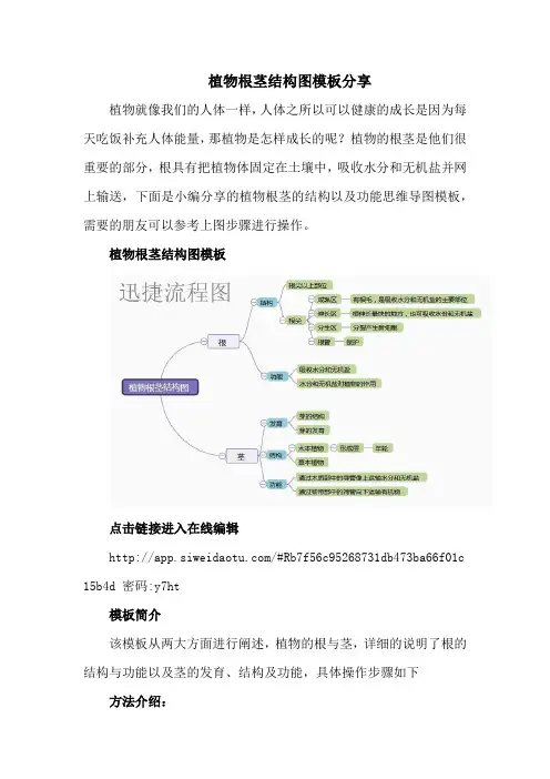 植物根茎结构图模板分享