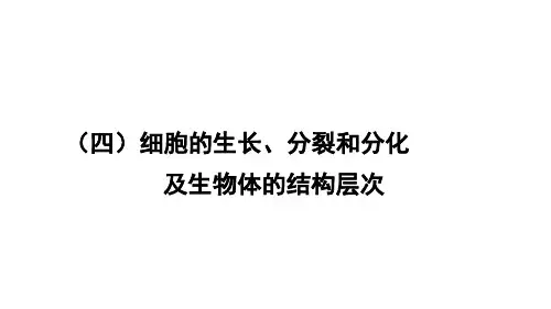 【初中生物】中考生物复习：识图题ppt(9份)