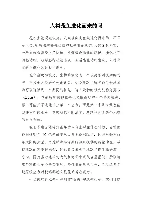 人类是鱼进化而来的吗