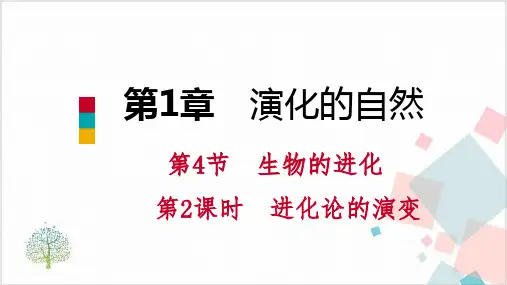 人教版生物《生物的进化》_PPT