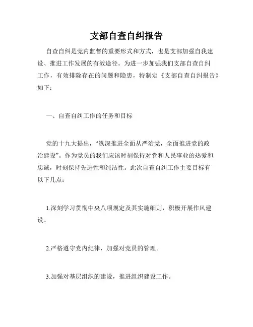 支部自查自纠报告