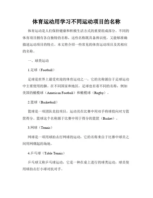 体育运动用学习不同运动项目的名称
