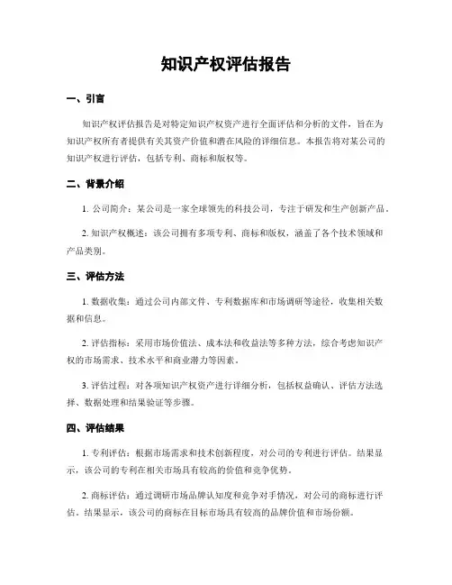 知识产权评估报告