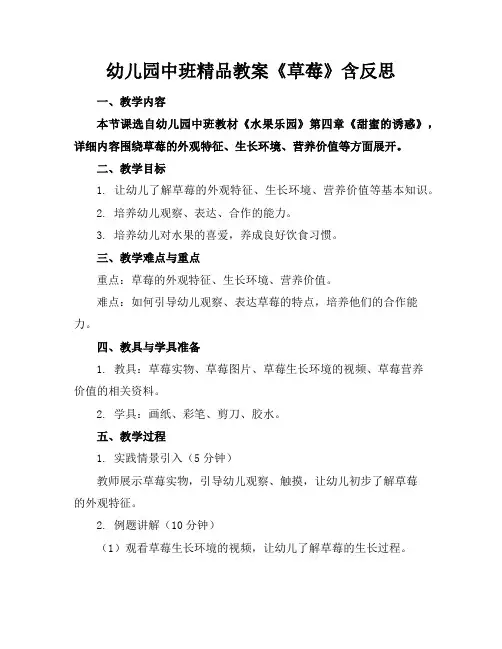 幼儿园中班精品教案《草莓》含反思