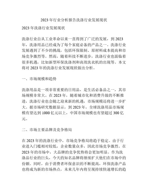 2023年行业分析报告洗涤行业发展现状
