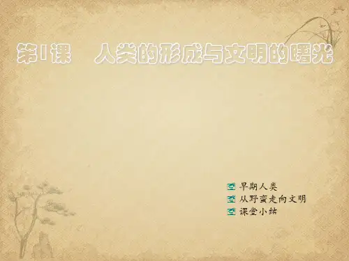 【一线精品】  人类的形成与文明的曙光 川教版优秀公开课件