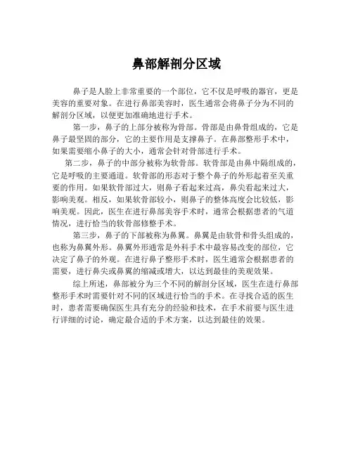 鼻部解剖分区域