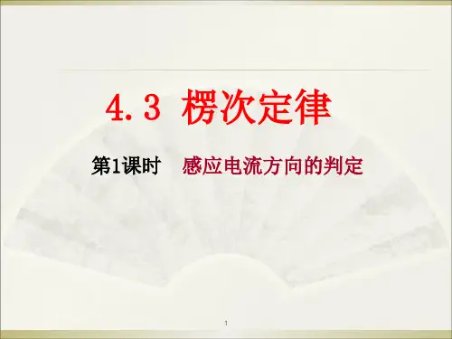 楞次定律(含动画)ppt课件