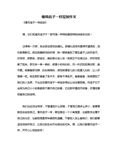 像风信子一样绽放作文