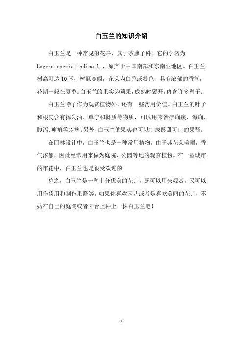 白玉兰的知识介绍
