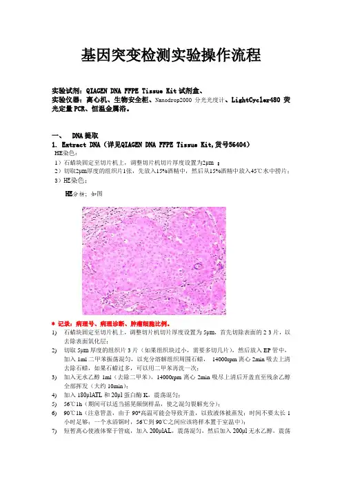 基因突变检测实验操作流程-EGFR