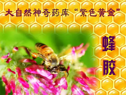 蜂胶