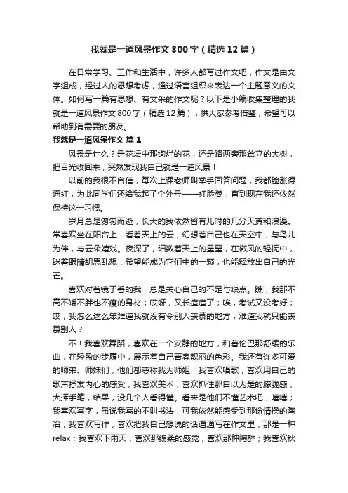 我就是一道风景作文800字（精选12篇）