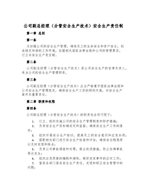公司副总经理(分管安全生产技术)安全生产责任制