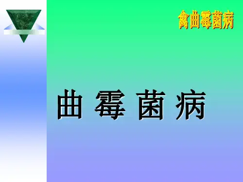 禽曲霉菌病