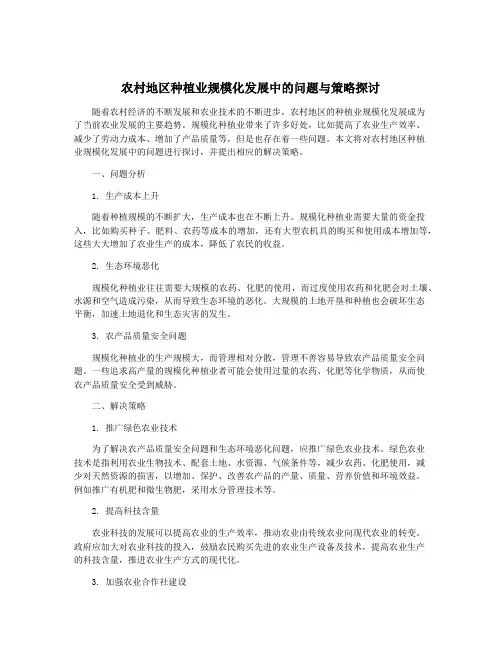 农村地区种植业规模化发展中的问题与策略探讨