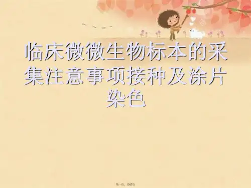 临床微微生物标本的采集注意事项接种及涂片染色