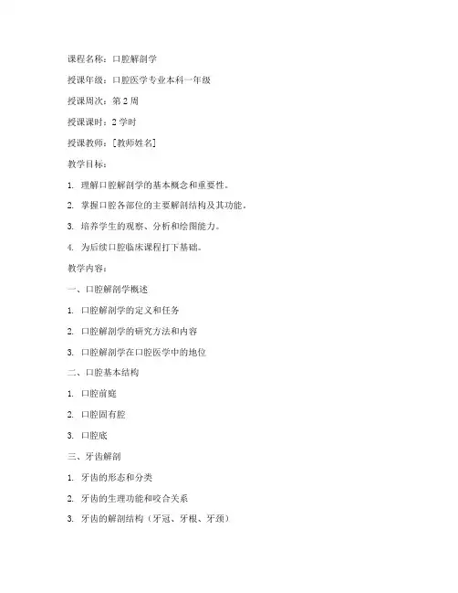口腔解剖授课教案模板范文